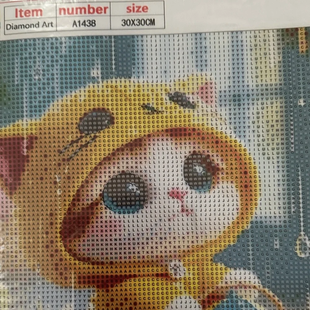 Host Support Diamond Art Kit. Pretty Kitty in Hoodie.